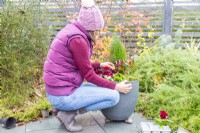 Woman planting bulbs in between the plants in the container