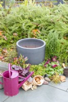 Watering can, large container, bulbs, plants, moss, stones, crockery, and a compost scoop laid out on the ground