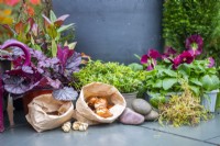 Bulbs, stones, moss, and plants laid out on the ground around the container