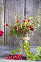 Fragaria vesca - Alpine strawberries displayed in glass jar