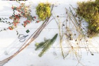 Cotoneaster, moss, pine twigs, hazel sticks, pruning scissors and wire laid out on wooden surface