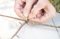 Woman tying the sticks together with wire