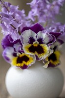 Pink Spanish Bluebells and Pansy flowers in a small ceramic vase.