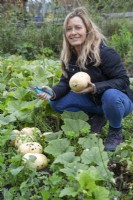 Woman harvesting Butternut Squash on vegetable plot. Squash 'Hunter'