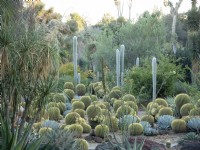 Evening shot of Desert Garden at Huntington Botanical Gardens featuring assorted cacti and succulents