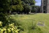 Wildlife border in edge of country churchyard