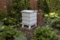 Beehive set in rhubarb patch, shaded corner of a walled garden