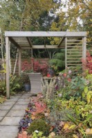 Autumn garden with wicker table and chairs under wooden pergola with Betula utilis var 'Jacquemontii' and Dicksonia antarctica - October