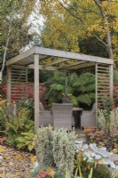 Autumn garden with wicker table and chairs under wooden pergola with Dicksonia antarctica - October