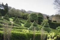 Formal garden of clipped yews and box parterres at Perrycroft, Herefordshire in March