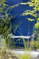 Small pond and metal contemporary bench in small courtyard garden with painted blue walls, RHS Chelsea Flower Show 2021, IBC Pocket Forest