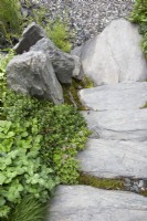 Large mica quartzite rock stone steps with gravel path and Trifolium pratense, Fragaria vesca - Wild Strawberry.