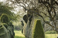 Topiary in yew and box at Balmoral Cottage, Kent in April created by Charlotte Molesworth.