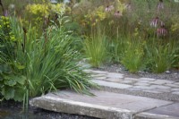 Stone pathway with gravel for drainage. Soft planting scheme includes Echinacea pallida, Artemisia lactiflora and Sporobolus heterolepis - prairie dropseed.