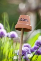 Chives clay pot label.