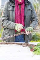 Woman tying two separate bundles of birch sticks using wire