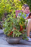 Metal bowl with peppers and tomato in focus, girl relaxing in background on roof terrace.