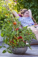 Metal bowl with peppers and tomato in focus, girl relaxing in background on roof terrace.