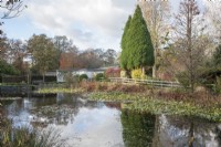 View across lake to winter garden with colourful trees and foliage. Reflections in water. Nymphaea syn. waterlilies.  White ducks swimming. 

Conifers. Liriodendron tulipifera syn. tulip tree. Taxodium distichum syn swamp cypress.