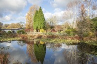 View across lake to winter garden with colourful trees and foliage. Reflections in water. Nymphaea syn. waterlilies. 

Conifers. Betula utilis 'Jacquemontii', syn. Betula utilis, Betula jacquemontii, white birch, birch. 