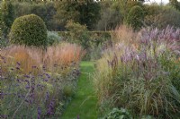 On left of path, a line of golden Molinia caerulea subsp. caerulea 'Heidebraut', Verbena bonariensis and fennel. On right of path, a clump of Miscanthus sinensis 'Malepartus'.