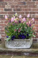 A stone trough planted with Tulipa 'Synaeda Amor' amidst 'Sunset Apricot' wallflowers.