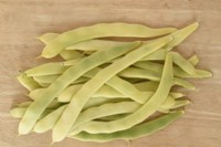 Phaseolus vulgaris  'Golden Gate'  Picked climbing French beans  July