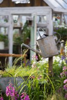 Old galvanised watering can used as a water feature. Down Memory Lane, Designer: The Blue Diamond Design Team, RHS Hampton Court Palace Garden Festival Show, July 2021