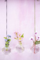 Flowers in hanging glass bottle arrangement