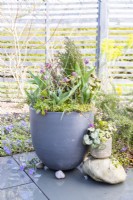 Layered container with Snakes Head Fritillarias flowering
