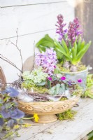 Hyacinths in a shallow carved wooden container