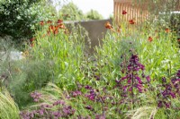 The Viking Friluftsliv Garden, RHS Hampton Court Flower Festival 2021.   Herbaceaous border with Salvia 'Love and Wishes,, Helenium, Fennel, Astrantia and Stipa tenuissima