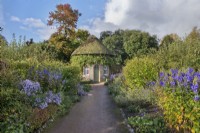 Double herbaceous borders including Aster, Aconitum and Helianthemum, path and the thatched Apple Store in the Walled Garden at West Dean Gardens, Sussex, England