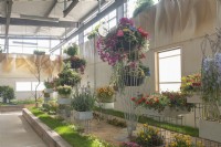 Torgau, Sachsen, Germany 3rd May 2022. 
LAGA Landesgartenschau Torgau 2022 State garden show.
Blumenhal - flower hall with displays