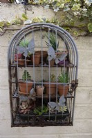 A decorative set of metal shelves, with butterflies, is wall mounted outside in a garden and filled with fake succulent plants on the shelves. No maintenance and fun focal point for year round interest. 
