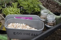 An old commercial ice cream tub is used to store crushed egg shells for use in the garden. It sits next to recycled plant ties made from cut up tights and in front of seedlings. 