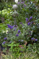 Patio with Buddleja 'Buzz Midnight', Verbena bonariensis, Hydrangea arborescens 'Annabelle'