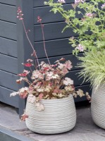 Mandala, Meditation and Mindfulness Balcony and Container Garden showing grey pots with pale white and pink planting