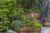 Reclaimed Scottish whisky barrels are planted with heathers, ferns, Cirsium rivulare 'Atropurpureum', sea pinks and juniper.