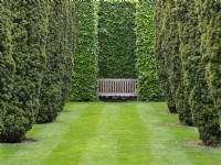 Avenue of Taxus baccata Golden Irish yew at The Old Vicarage, East Ruston,