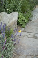 natural pathway with large stone boulder and random mixed size cobble stone path.