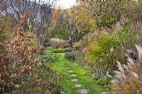 Grass path with stepping stones leading betwen mixed borders with Miscanthus sinensis, Hydrangea, Geranium, Astilbe, Hemerocallis, Teucrium hircanicum and other perennials.