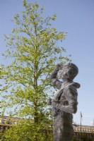 Stainless steel sculpture of an RAF Pilot with Betula nigra behind - The RAF Benevolent Fund Garden, RHS Chelsea Flower Show 2022 - Silver Medal