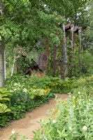 Self binding gravel path leads through lush planting to a large waterfall made from Medite Smartply, a sustainable and innovative wood-based panel product -Medite Smartply Building the Future, RHS Chelsea Flower Show 2022 - Gold Medal