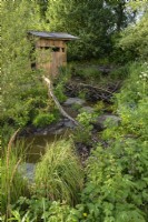 Natural wetland meadow with native plants and stone path along stream leading to wooden hut
- A rewilding Britain Landscape 