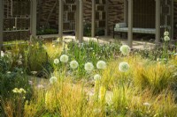 Herbaceous beds planted with perennials including white alliums and ornamental grasses. in front of pavilion made of willow screens - Stitchers Sanctuary Garden