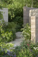 Curved path with purbeck stone  along clay rendered walls with planting of Valeriana officinalis, Briza media and Amsonia illustris in The Mind Garden - Designer: Andy Sturgeon - Sponsor: Project Giving Back.