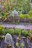 Kitchen garden with wire cloche, Victorian cloche,, watering can, drip hose irrigation vegetables and flowers. Beds are edged with woven willow hurdle.