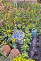Kitchen garden with forcers, Victorian cloche, watering can, drip hose irrigation vegetables and flowers.