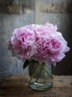 A still life portrait of a bouquet of Paeonia lactiflora 'Sarah Bernhardt', double flowered  pink peonies in a glass vase on an upturned wooden crate, phoographed  against a rustic wooden background.